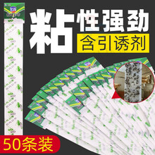 空消粘蝇彩带粘蝇彩条板粘蝇条贴纸粘蝇子卷灭蝇药苍蝇纸苍蝇药苍蝇贴 50条