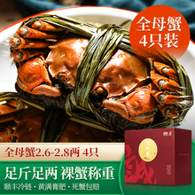 【活蟹】诚蟹一品 大闸蟹鲜活 全母蟹4只装 螃蟹生鲜现货特大 中秋国庆节日水产礼盒 全母蟹2.6-2.8两 4只
