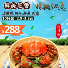 【活蟹】现货阳澄凯馨大闸蟹 鲜活六月黄特大螃蟹 实物活蟹公蟹全母蟹 生鲜水产礼盒装 六月黄大闸蟹2.9-3.3两 10只礼盒装
