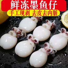 [2件减20] 墨鱼仔3斤生鲜冷冻20-25个/斤 3斤装【含冰衣】