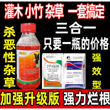 草甘膦除草烂根剂 一扫光剂除树剂杀大树竹子草甘磷除草烂根剂 240g