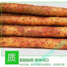 新鲜山药铁棍乌鸡土铁锈红斑淮山药正宗河南特产铁杆通身红锈甄选 净重3斤普通试吃装