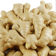 山东大姜5斤精心挑选老姜新鲜生姜安丘大黄姜月子姜 3斤生姜【实惠装】