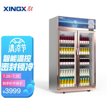 星星（XINGX）双门饮料展示柜立式冷藏冰柜 商用冰箱双门保鲜柜冷柜 风直冷超市饮料陈列柜 800升风机循环制冷 LSC-818Y