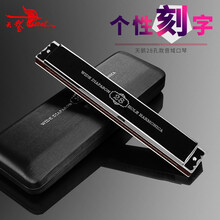 德国音簧天鹅28孔重音口琴高级成人专业演奏级复音学生初学者入门精品 重音黑色【音色浑厚】+10重豪礼