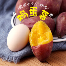 娇瑰 精选品质 【鸡蛋薯】新鲜红薯临安天目山小香薯5斤农家板小番薯 【坏果包赔】 5斤 中果