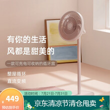 爱登EDON落地扇电风扇家用办公台式自收纳充电空气循环大电扇无线使用伸缩折叠 4挡风力智能变频 粉色