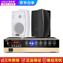 爱步者（aibuz） 壁挂式音响挂壁音箱超市店铺餐厅背景音乐吸顶吊顶喇叭套装25W壁挂音响喇叭套装 100W功放+35W壁挂音响*2+20米线 白色音箱