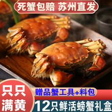 【活蟹】12只阳澄东湖大闸蟹鲜活螃蟹现货海鲜水产礼盒装 全公蟹：3.0-3.3两（12只）
