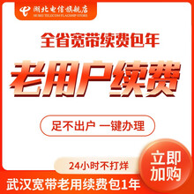 中国电信（CHINA TELECOM） 【宽带续费】武汉电信宽带20\\50\\100M宽带缴费办理 1800元宽带续费（备注宽带账号和证件号及姓名）