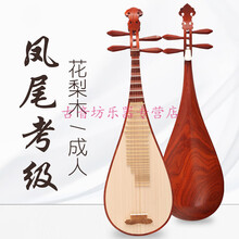 音乐学院推荐 鸡翅木凤尾琵琶乐器考级演奏民族教专业 专业花梨木凤尾头琵琶