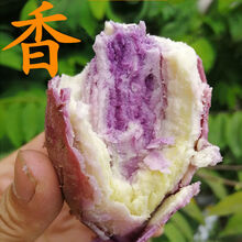 新鲜番薯农家沙地冰淇淋番薯一点红紫心红薯皮薄肉厚香甜粉糯 5斤小果