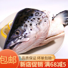 三文鱼虹鳟鱼头冷冻煲汤烧烤红烧鱼头食材 当天现切鱼头4只(不去腮)