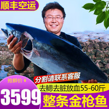渔人百味金枪鱼新鲜金枪生鲜鱼整条16-100斤金枪鱼头鱼脖子下巴鱼眼南方蓝旗大目刺身海鲜冷冻黄旗 金枪鱼整条55-60斤