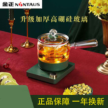 【京闪配送】金正（NINTAUS）黑茶煮茶器家用全自动蒸汽煮茶壶玻璃电热普洱蒸茶壶花茶壶 复古绿