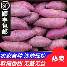 梓乐果 山东紫罗兰沙地紫薯新鲜小个农家自种低脂5斤蜜薯地瓜非越南番薯 小果(每斤5-8个，坏果包赔) 5斤