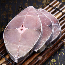 马鲛鱼新鲜全中段湛江海鲜鲅鱼马交鱼冰冻新鲜海南马跤鱼湛江特产 5斤装