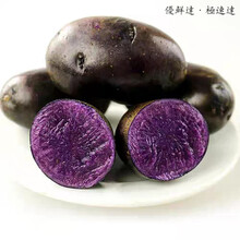 黑土豆 乌洋芋马铃薯紫土豆  黑美人黑金刚 新鲜蔬菜 3斤