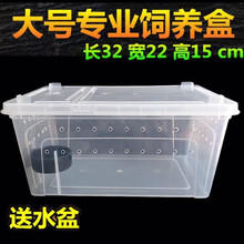 爬虫爬宠饲养盒箱子高透明亚克力缸柜一体树栖角蛙乌龟蜥蜴饲养盒 大号盒33*23*16加水盆