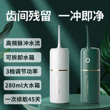 冲牙器洗牙器便携式电动家用水牙线洁牙仪去缝牙渍结石莱信 绿色