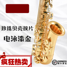 初学降e调中音萨克斯风/管乐器成人入门考级森德萨克斯 伊薇100经典款＋17件