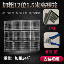 大号加粗鸽子用品用具12位16位养殖鸽子笼信鸽配对笼肉鸽繁殖笼子 加粗12位1.5米高裸笼