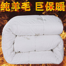 羊毛驼毛被   10斤加厚冬被澳洲纯羊毛被保暖羊绒被子单人棉被芯双人春秋被 澳洲羊毛被(纯棉面料) 150X200CM(总重4斤)