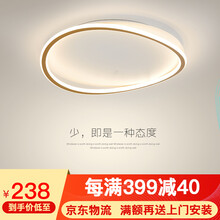 鑫灿 卧室灯吸顶灯 2021年新款北欧ins创意艺术书房客厅餐厅led方圆形极简睡房灯具 金色-直径40*7.5cm-暖光40W