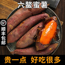 六鳌红蜜薯 板栗红薯 甜红心番薯地瓜新鲜 4.5斤大果（10-20个）
