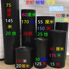 鑫琪 三木园艺 大闸蟹养殖黑色防逃膜小龙虾防逃网螃蟹苗甲鱼水产品池塘塑料围板 75厘米145米加工线