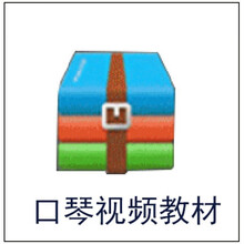 上海国光口琴24孔复音C调初学者学生儿童成人24孔重音男士专业演奏级乐器 【赠品】电子视频教材【勿拍】