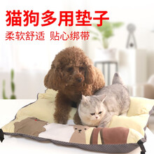 派可为 宠物行军床狗狗床大窝猫窝夏季大型犬金毛可拆洗四季通用 单独床垫 XL-122*91*16cm