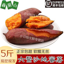 【顺丰】六鳌红蜜薯地瓜 福建漳州沙地红心番薯新鲜红薯农家自种山芋 整箱5斤 小果