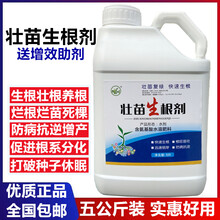 生根壮苗剂生根粉生根液移栽扦插果树花卉绿萝根 强力发根剂 五公斤1桶