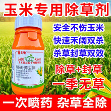 农药玉米除草剂苗后专用除草剂硝磺草酮莠去津玉米安全型一扫光除草剂 200ml