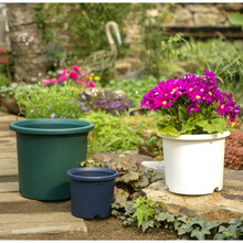 爱丽思IRIS  Deepot深型加厚树脂控树花盆加仑盆 圆口塑料绿萝绣球月季铁线莲花 10号浅绿色(口径约33.8cm)