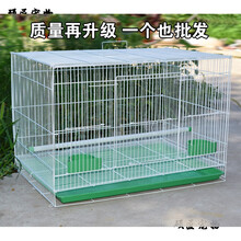 鸟笼金属鸟笼鸽子相思鸟笼子鹦鹉笼兔子笼通用鸟笼群笼繁殖笼 500#50*34*32cm粉色套餐