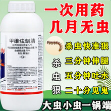 甲维虫螨腈农药店农药杀虫剂高效水稻菜青虫钻心虫农药杀虫剂专用 20g