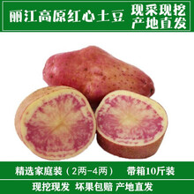 云南丽江新鲜红皮红心土豆 农家七彩马铃薯紫心大洋 40斤大洋芋精选(单果4两以上)