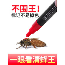 蜂王标记笔 速干中蜂养蜂记号笔不伤蜂王蜜蜂工具育王 黄色(1支)