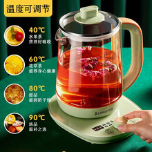 【品质保证】志高养生壶办公室迷你全自动加厚玻璃养身花茶壶家用小型多功能煮水壶煮茶器煎中药壶煎药壶锅 ZG-X1855旋钮款【煮蛋架】