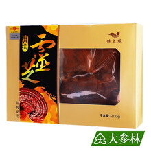 灵芝(有机灵芝)200g打粉煲汤煮水泡酒 1盒装