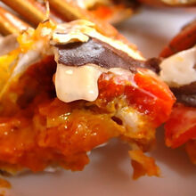 活鲜【冷链运输】鲜活大闸蟹六月黄现货 大闸蟹淡水湖蟹超大蟹尝鲜16只  罗莫利得 全母(2.3-2..8两)12只