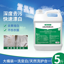 雅艺 漂白剂漂白水白色衣服去黄增白剂染色还原剂去霉去污去渍粉母婴可用彩漂剂去渍护色漂白剂 漂白剂【2.5kg/瓶 去污去黄增白】
