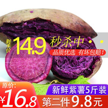 农家紫薯地瓜小香薯香芋香甜软糯 带箱10斤精选装