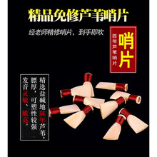 唢呐哨片 芦苇免修唢呐哨片唢呐哨子免修易发音免修哨片唢呐叫子 芦苇免修降B调【2个】带哨片盒
