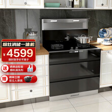 华凌 WD10 集成灶 17立方大吸力油烟机猛火定时燃气灶消毒柜 下排式烟灶消一体灶 智能家电 单机 天然气