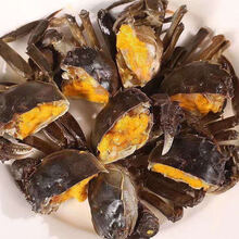 【活蟹】六月黄小螃蟹鲜活大闸蟹河蟹海鲜水产蟹类 安德兰 三元蟹 只只有黄【15只送5只】