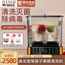 【高浓度等离子·分体式双桶】德国Guge洗菜机家用全自动果蔬清洗机谷格餐具消菌机智能多功能食材净化机 G59一机双桶 黑色 G59