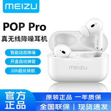 魅族POP2s真无线蓝牙耳机原装入耳式男女运动耳塞 双耳通话迷你隐形耳麦 通用苹果vivo华为 魅族POP Pro自动降噪耳机